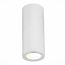 ST LUCE ST650.502.01 Светильник потолочный Белый GU10 1*50W IP20 D62xH151 180-240V Без ламп, изображение 2
