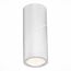 ST LUCE ST650.532.10 Светильник потолочный Белый LED 1*10W 3000K 800Lm Ra>90 38° IP44 D62xH151 165-265V, изображение 2