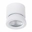 ST LUCE ST654.542.10 Светильник потолочный Белый LED 1*10W 4000K 850Lm Ra>90 38° IP20 D95xH96 180-240V, изображение 3