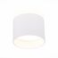 ST LUCE ST102.542.12 Светильник потолочный Белый LED 1*12W 4000K 936Lm Ra>80 120° IP20 D100xH90 170-240V