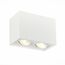 ST LUCE ST109.507.02 Светильник потолочный Белый GU10 2*50W  L181xW100xH123 220V Без ламп