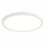 ST LUCE ST601.542.32 Светильник настенно-потолочный Белый LED 1*32W 4000K 2 880Lm Ra>90 120° IP20 D400xH26 1, изображение 2