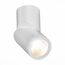 ST LUCE ST650.542.10 Светильник потолочный Белый LED 1*10W 4000K 800Lm Ra>90 38° IP44 D62xH151 165-265V