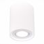 ST LUCE ST156.502.01 Светильник потолочный Белый GU10 1*50W IP20 D100xH120 180-240V Без ламп, изображение 2