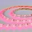 ST LUCE ST019.418.20RGBW Светодиодная лента SMD5050  - -*86W RGB+4000K 300Lm Ra>90 IP20 L1 000xW10xH- 24V, изображение 2