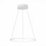ST LUCE ST603.543.22 Светильник подвесной ST-Luce Белый/Белый LED 1*22W 4000K, изображение 2